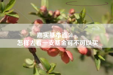嘉实基本面50 a,
怎样去看一支基金可不可以买