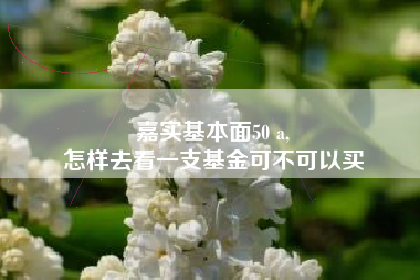 嘉实基本面50 a,
怎样去看一支基金可不可以买