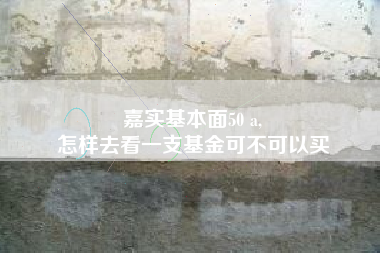 嘉实基本面50 a,
怎样去看一支基金可不可以买