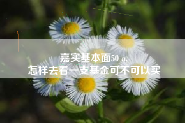 嘉实基本面50 a,
怎样去看一支基金可不可以买