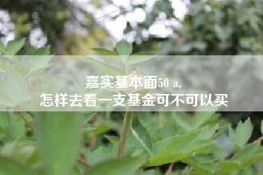 嘉实基本面50 a,
怎样去看一支基金可不可以买