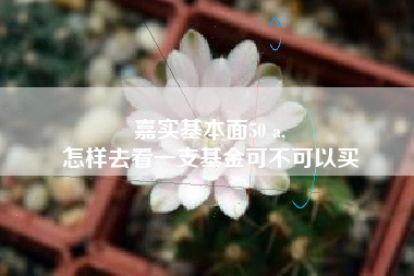 嘉实基本面50 a,
怎样去看一支基金可不可以买