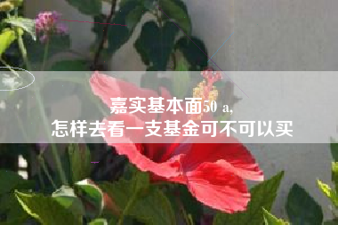 嘉实基本面50 a,
怎样去看一支基金可不可以买