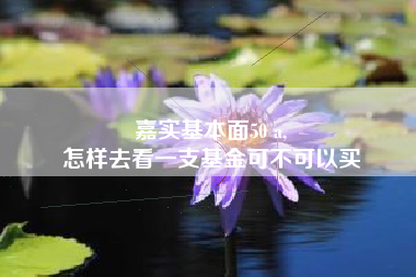 嘉实基本面50 a,
怎样去看一支基金可不可以买