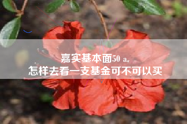 嘉实基本面50 a,
怎样去看一支基金可不可以买