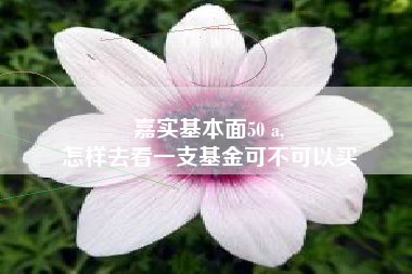 嘉实基本面50 a,
怎样去看一支基金可不可以买