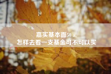 嘉实基本面50 a,
怎样去看一支基金可不可以买
