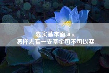 嘉实基本面50 a,
怎样去看一支基金可不可以买