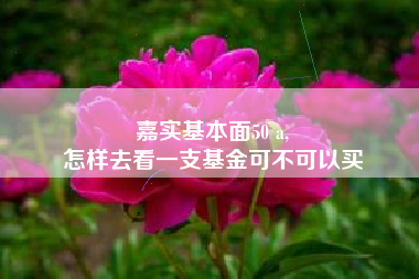 嘉实基本面50 a,
怎样去看一支基金可不可以买