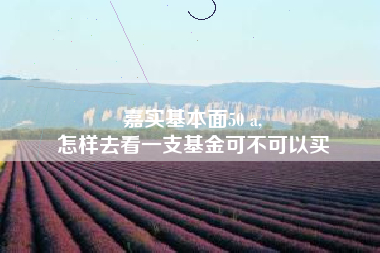 嘉实基本面50 a,
怎样去看一支基金可不可以买