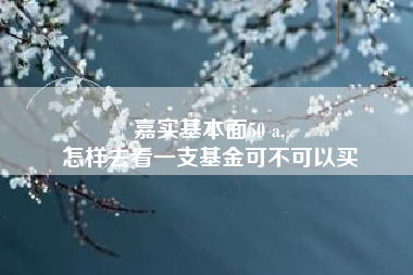 嘉实基本面50 a,
怎样去看一支基金可不可以买