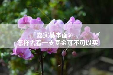 嘉实基本面50 a,
怎样去看一支基金可不可以买