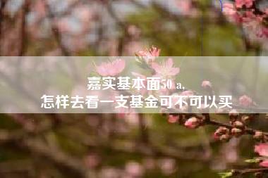 嘉实基本面50 a,
怎样去看一支基金可不可以买