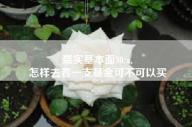 嘉实基本面50 a,
怎样去看一支基金可不可以买