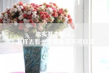 嘉实基本面50 a,
怎样去看一支基金可不可以买