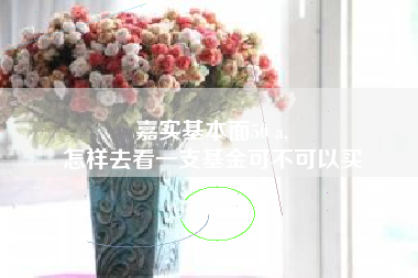 嘉实基本面50 a,
怎样去看一支基金可不可以买