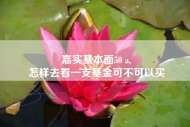 嘉实基本面50 a,
怎样去看一支基金可不可以买