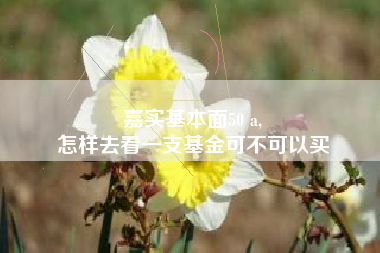 嘉实基本面50 a,
怎样去看一支基金可不可以买