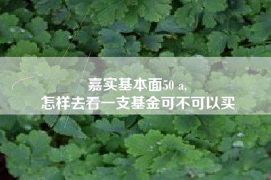 嘉实基本面50 a,
怎样去看一支基金可不可以买