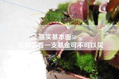 嘉实基本面50 a,
怎样去看一支基金可不可以买