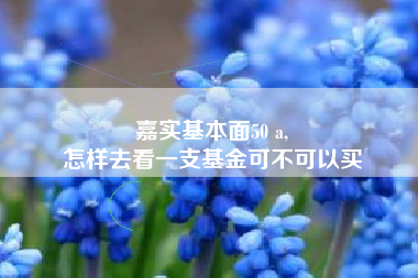 嘉实基本面50 a,
怎样去看一支基金可不可以买