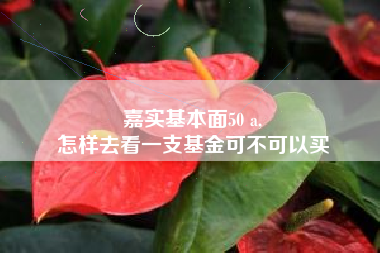 嘉实基本面50 a,
怎样去看一支基金可不可以买