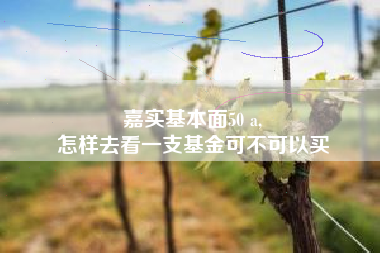 嘉实基本面50 a,
怎样去看一支基金可不可以买