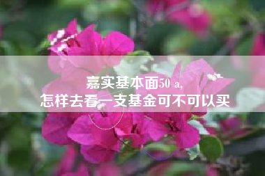 嘉实基本面50 a,
怎样去看一支基金可不可以买