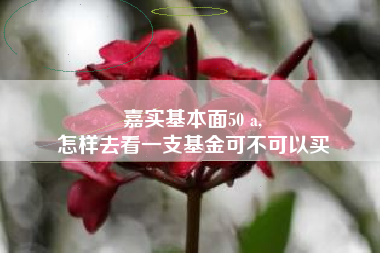 嘉实基本面50 a,
怎样去看一支基金可不可以买