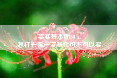 嘉实基本面50 a,
怎样去看一支基金可不可以买