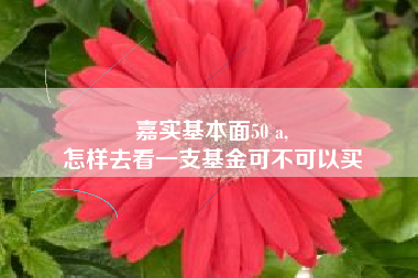 嘉实基本面50 a,
怎样去看一支基金可不可以买