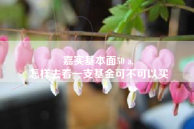 嘉实基本面50 a,
怎样去看一支基金可不可以买