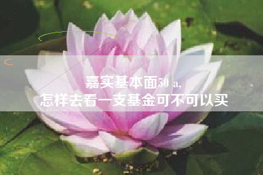 嘉实基本面50 a,
怎样去看一支基金可不可以买