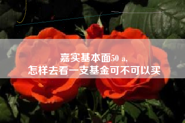 嘉实基本面50 a,
怎样去看一支基金可不可以买