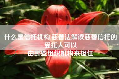 什么是信托机构,慈善法解读慈善信托的受托人可以
由哪些组织机构来担任 什么是信托机构,慈善法解读慈善信托的受托人可以
由哪些组织机构来担任