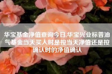 华宝基金净值查询今日,华宝兴业标普油气基金当天买入时是按当天净值还是按确认时的净值确认