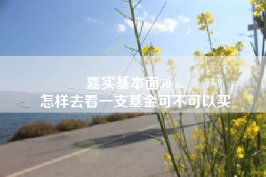 嘉实基本面50 a,
怎样去看一支基金可不可以买