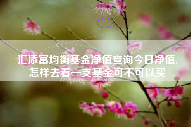 汇添富均衡基金净值查询今日净值,
怎样去看一支基金可不可以买