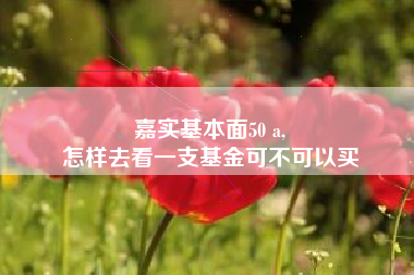 嘉实基本面50 a,
怎样去看一支基金可不可以买