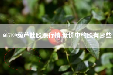 605199葫芦娃股票行情,低价中约股有哪些