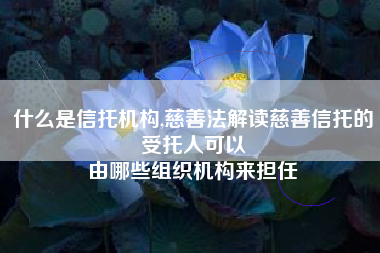 什么是信托机构,慈善法解读慈善信托的受托人可以
由哪些组织机构来担任 什么是信托机构,慈善法解读慈善信托的受托人可以
由哪些组织机构来担任