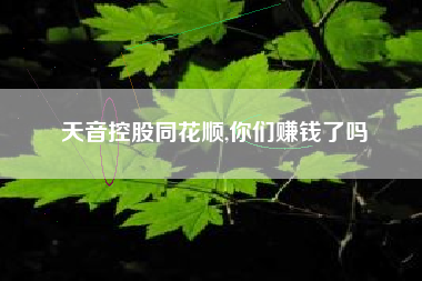 天音控股同花顺,你们赚钱了吗