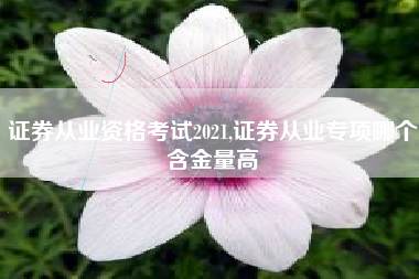 证券从业资格考试2021,证券从业专项哪个含金量高