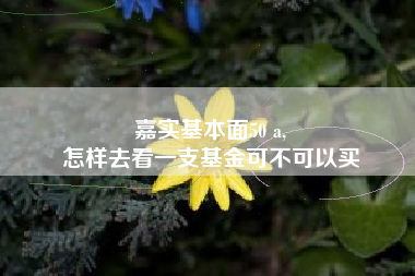 嘉实基本面50 a,
怎样去看一支基金可不可以买