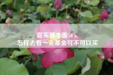 嘉实基本面50 a,
怎样去看一支基金可不可以买