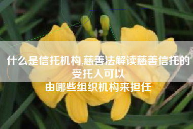 什么是信托机构,慈善法解读慈善信托的受托人可以
由哪些组织机构来担任 什么是信托机构,慈善法解读慈善信托的受托人可以
由哪些组织机构来担任