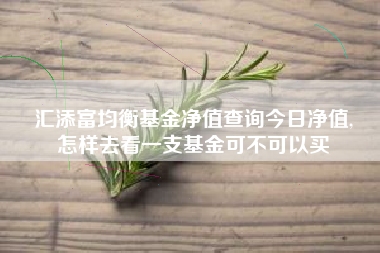 汇添富均衡基金净值查询今日净值,
怎样去看一支基金可不可以买