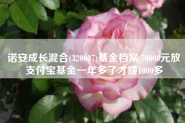 诺安成长混合(320007)基金档案,70000元放支付宝基金一年多了才赚1000多