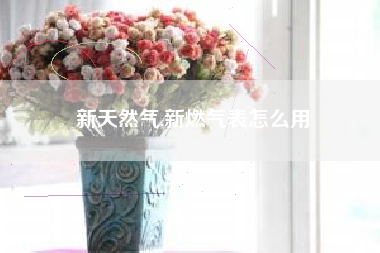 新天然气,新燃气表怎么用