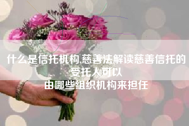 什么是信托机构,慈善法解读慈善信托的受托人可以
由哪些组织机构来担任 什么是信托机构,慈善法解读慈善信托的受托人可以
由哪些组织机构来担任